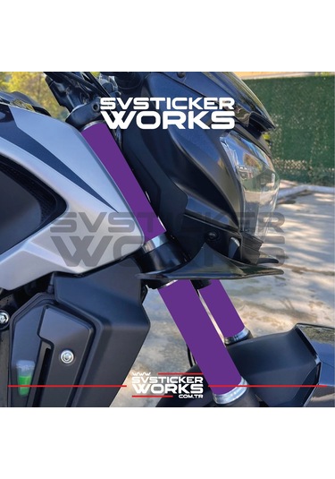 Bajaj Dominar Amortisör Kaplama Sticker