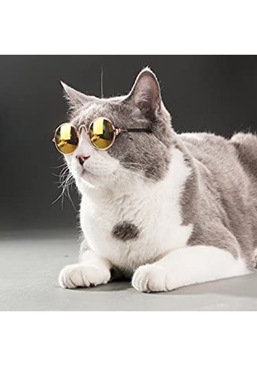 Geekyou Kedi Köpek Güneş Gözlüğü, Yeşil Yansıtıcı, 8cm Genişlik, Evcil Hayvan Moda Aksesuarı