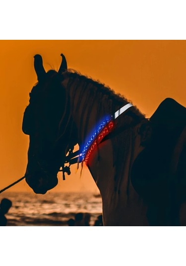 Willowhaven Pembe Led At Yakası Gece Binicilik Güvenlik Ekipmanı Ayarlanabilir Pembe