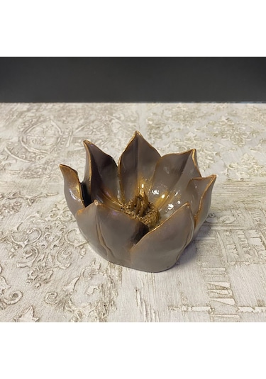 Küçük Lotus Nilüfer Çiçeği