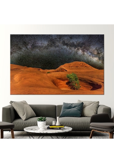 60x90cm 1 Parça Siyah Çerçeveli Kanvas Tablo