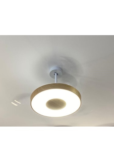 Orbus Led'li Tavan Vantilatörü Motor Dc 30W-60W 3000K-6500K