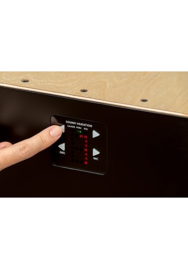 ROLAND EC-10 El Cajon