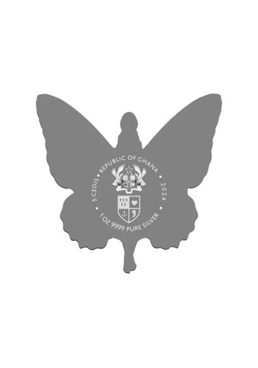 AgaKulche Kelebek Kadın 2024 Gümüş Sikke Coin