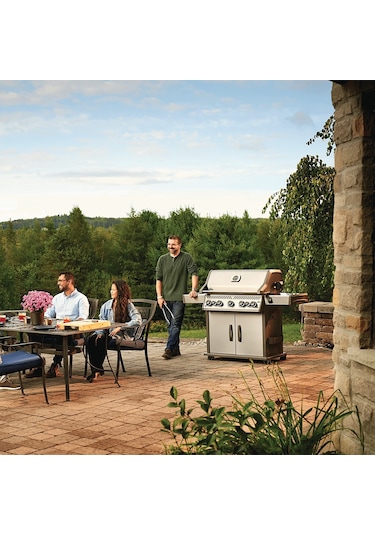 Napoleon Rogue SE 625 RSIB Gazlı Mangal Gri
