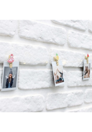 Petrix 25 Led Işık Fotoğraf Mandalı Hayvanlı