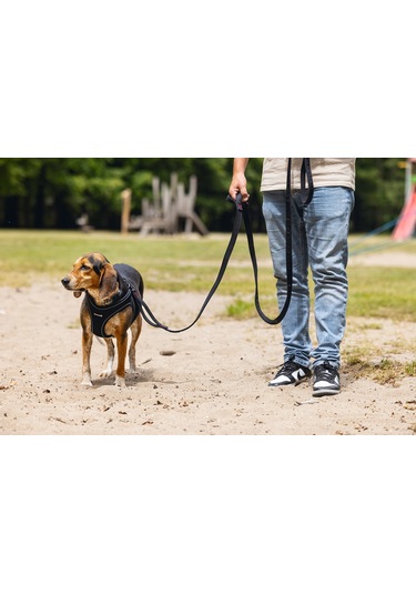 Beeztees Köpek Göğüs Tasması, Neopren, Siyah, M, 41-46cm Çok Renkli