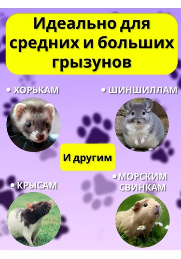 Petipet Kemirgenler Ve Sıçanlar İçin Çift Katlı Kafesli Hamak 201631197