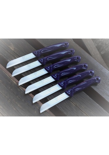 Solingen DELİKLİ-TTL Tırtıklı Meyve-Sebze Bıçağı 6 Adet Mor