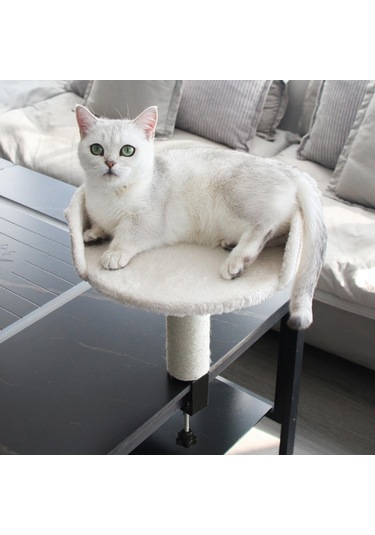 Suntek Masaüstü Kedi Yatağı, Sabit, Yerden Tasarruf Sağlayan