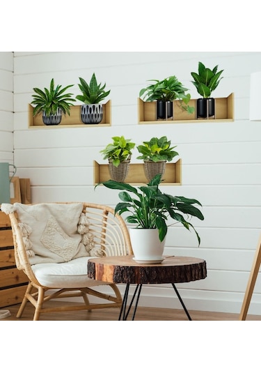 Raflı Bitki Tasarımlı Yapışkanlı Sticker 20 30 Cm 3lü Set 5060 Çok Renkli