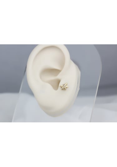 Glorria Altın Yonca Tragus Piercing 89764649