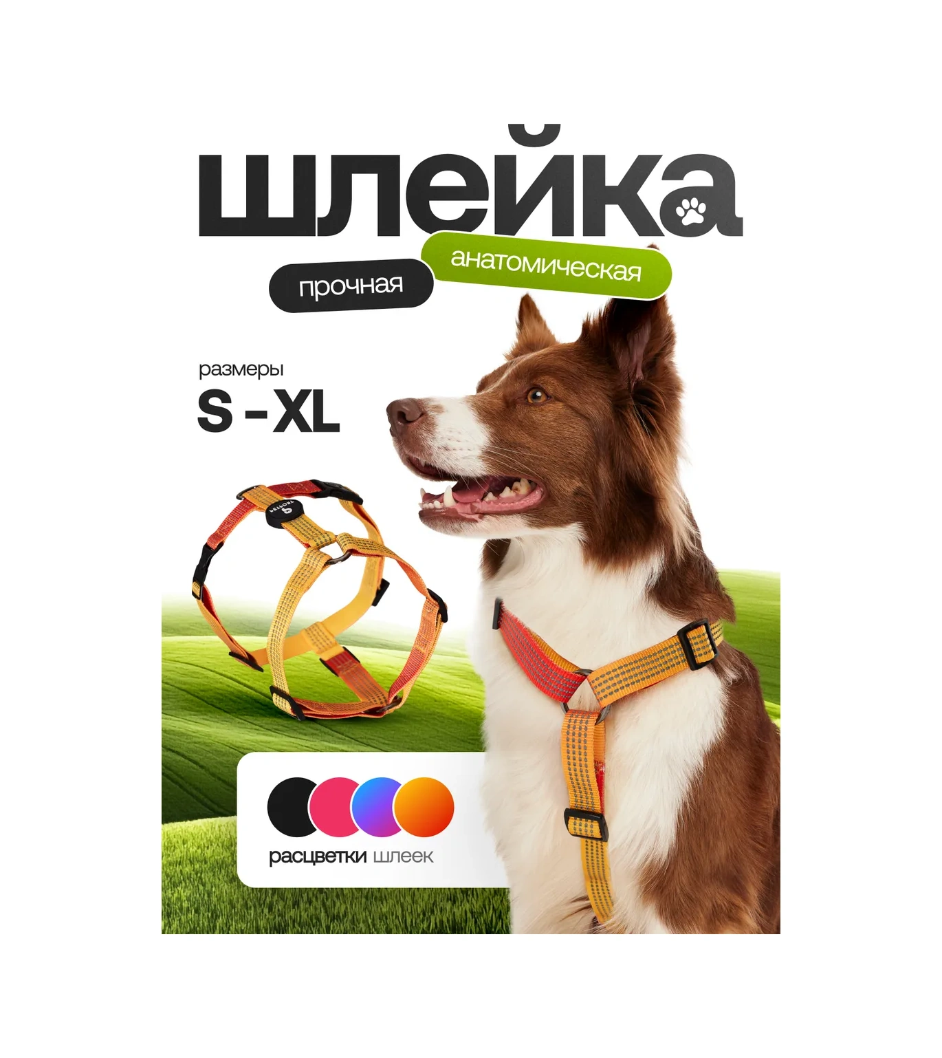 Petfort Köpekler İçin Anatomik Tasma 431183339
