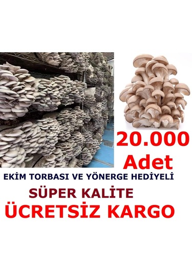 20.000 Adet İstiridye Kavak Kayın Yaprak Mantarı Tohumu + Ekim Poşetleri 1 adet