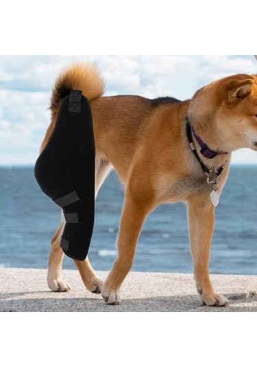Homyl Köpek Dizlik Pet Dirsek Burkulma Koruması Için Sağ-arka