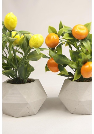 Yapay Bitki Geometrik Beton Saksıda Dekoratif Limon Ve Portakal Ağacı Tanzimi Turuncu-sarı-beyaz