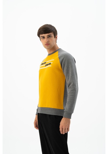 Arma Erkek Büyük Beden Bisiklet Yaka Sweatshirt K24124884401 Sarı