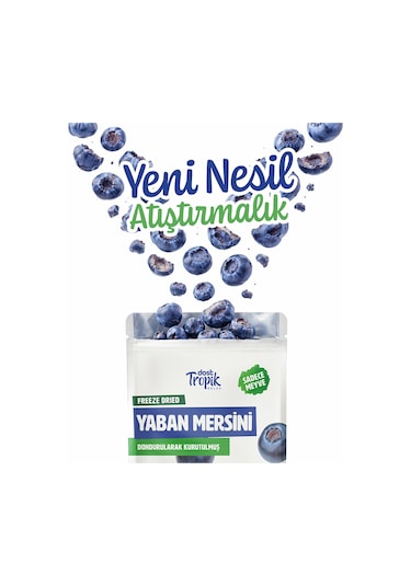 Dondurularak Kurutulmuş Yaban Mersini 18 G Freeze Dried Meyve Cipsi Çıtır Meyve Kurusu 12 Adet
