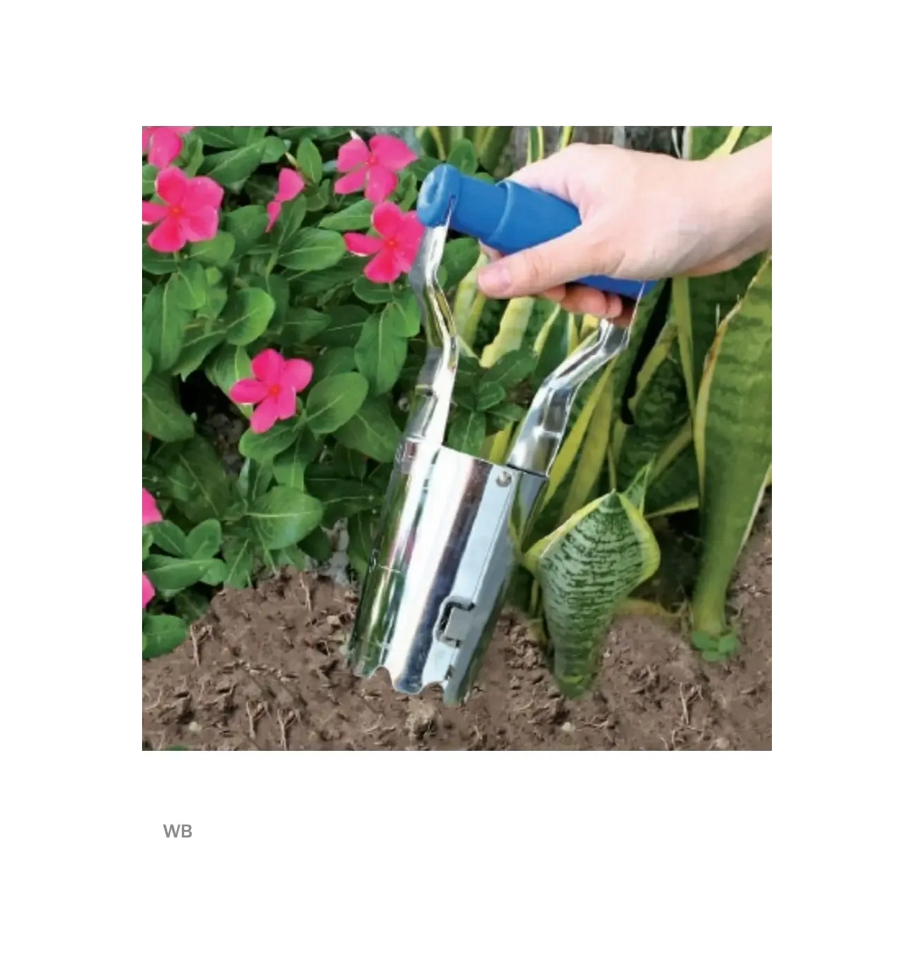 Green Apple Bitki Ve Soğanlar İçin Dikim Konisi Eğe Fanusu 262034262