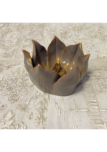 Küçük Lotus Nilüfer Çiçeği