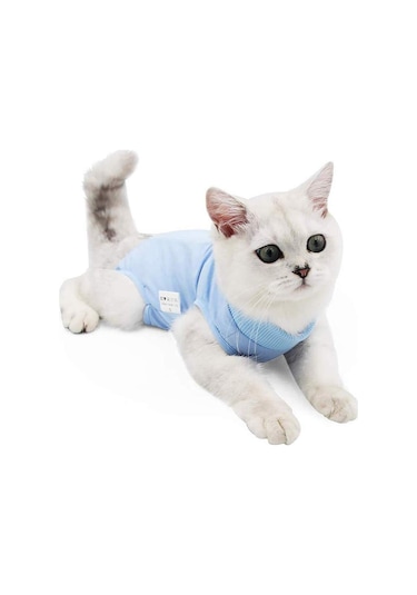 Hombey Kedi Ameliyat Sonrası Giysi, Yara Koruması, Yalama Engeli, Esnek Mesh Kumaş, Emzik Kesme Ve Sterilizasyon Sonrası Kullanıma Uygun, Mavi L Beden
