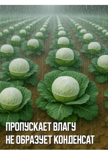 Domsadmarket Lahana Ve Ayçiçeği İçin Şapka 100 Ad 161626382