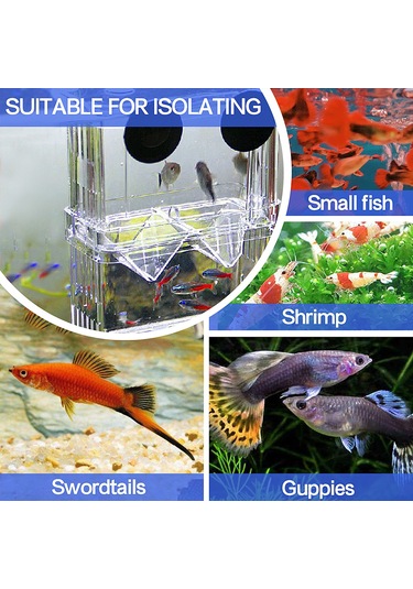 Konesam Akvaryum Yavru Balık Korumalı Yetiştirme Kutusu, Çift Katlı W Şekilli Bölücü, Sağlam Sünger Emici İle Kolay Kurulum, Transparan Ps Malzeme