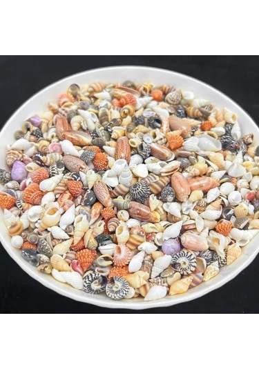 Willowhaven 50g Mini Deniz Kabuğu Kumu - 12 Farklı Renk Dıy El İşi, Akvaryum Dekoru