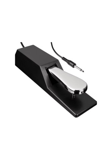Auster Sustain Pedal