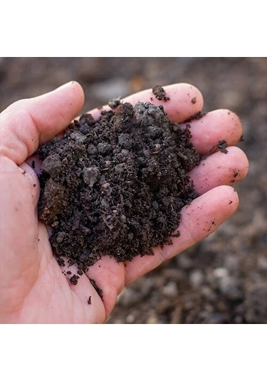 Özenle Hazırlanmış Sterizile Bitki Toprağı Torf 50 Litre 12,5 Kğ