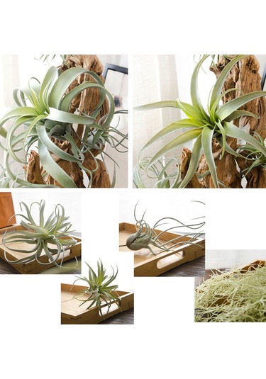 Qingmipy 3 Plastik Simülasyon Ananas Otu Yapay Bitki - Ev Ofis Düğün Dekorasyonu Masaüstü Saksı Bitkisi Yeşil