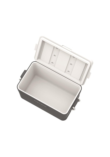 Icepeak Coolcraft 60 Buzluk 56.4 Litre-füme Füme