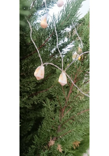 Doğal Deniz Kabuklu Pilli Dekoratif Led Işık Yılbaşı Süsü 2 Metre