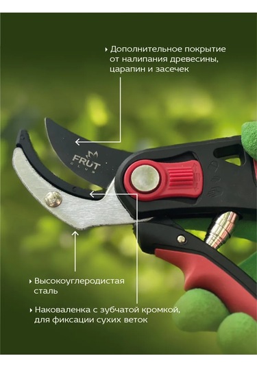 Frut Club Öküzgözü Zımba Makası 314707182