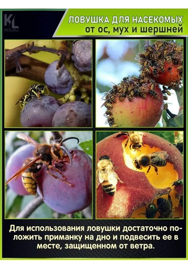 Reedark Bahçe Haşere Tutucusu - Arı, Yellow Sinüs, Sinek Yakalayıcı - Asma Tipi, Tekli Paket Hy1351-2