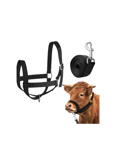Homyl Bull Bridle Head Harness Supply Naylon İnek Yular M Siyah
