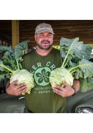 Doğal Geleneksel Giantl Kohlrabi Alabaş Tohumu 15 Tohum