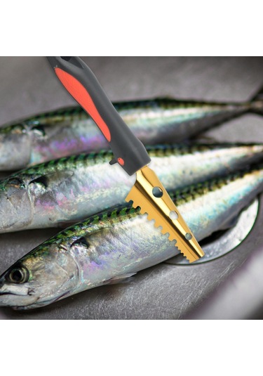 Suntek Magideal Balık Pulu Sökücü Altın