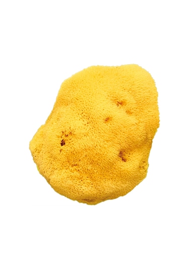 Okbaby İnce Dokulu Doğal Banyo Süngeri Büyük