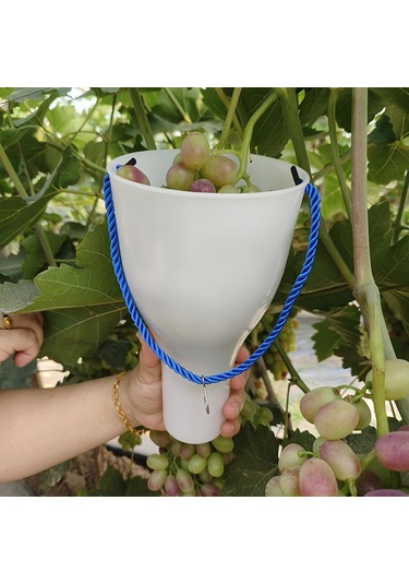 Suntek Üzüm Meyve Islatma Kupası Yetiştirme Bakımı S