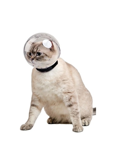 Lavimo Kedi Maskesi