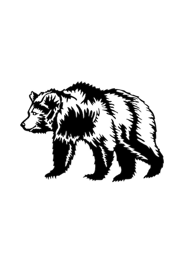 Boz Ayı Oto Motor Laptop Duvar Folyo Sticker 40x28 Cm