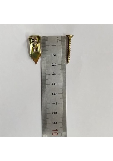 Paslanmaz Çelik Genişleme Cıvataları, Vidalar, Genişletme Cıvataları 100 Pcs Metal Boşluk Ankrajı Cıvatası 500 Adet