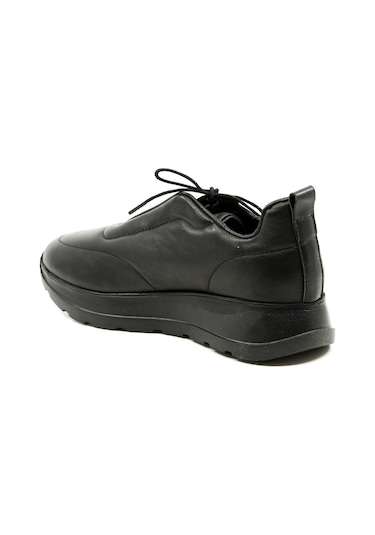Dexter Tp22126-61 Çok Renkli