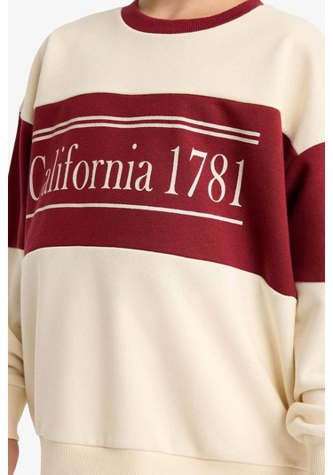 Defacto Taş Kız Çocuk Alt-üst Takım E6418a8/er42 Taş