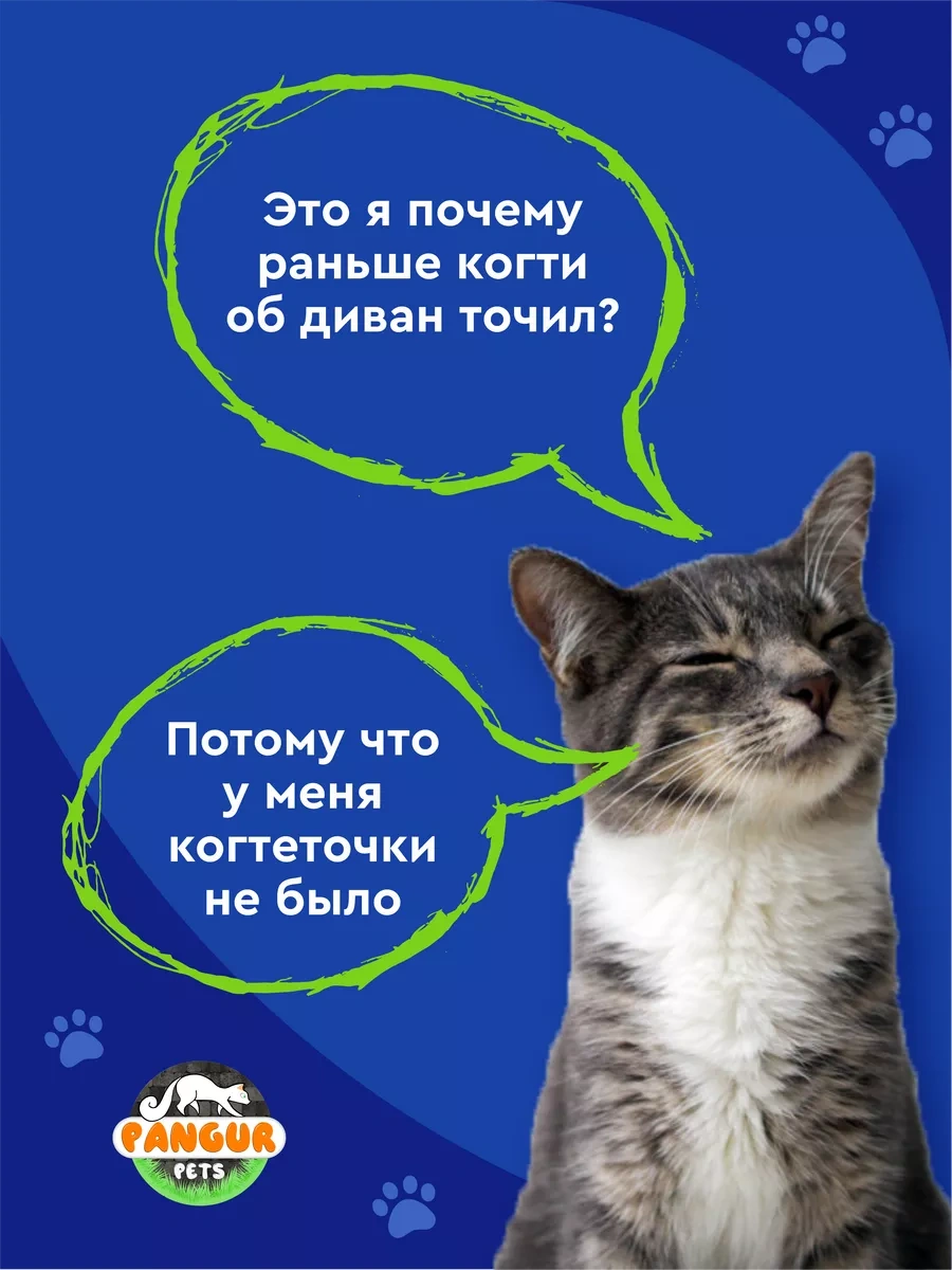 Pangur Büyük Karton Gommalı Kedi Tırmalama Ve Dinlenme Yatağı 49983084