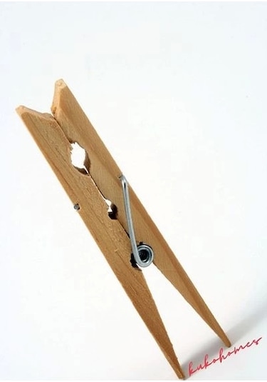 Bella House Tahta Mandal 20li Çok Renkli