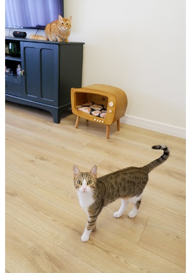 Huncar Kedi Evi Ahşap Retro Tv Dekoratif Kedi Evi İç Mekan Kediler İçin