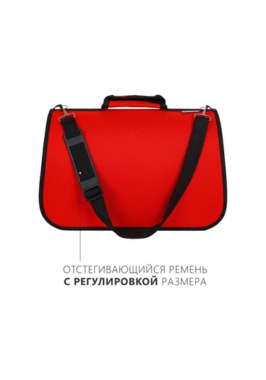 Rıch Breed Kedi Ve Köpekler İçin Taşıma Çantası, Saplı 158733159