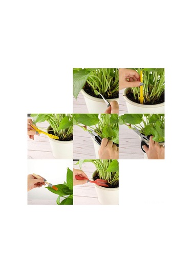 Qingmipy 13 Parçalık Mini Bahçe Alet Seti - Sukulent, Kaktüs Ve Bonsai Dikimi İçin Pratik Çapa, Makas Ve Fırça Takımı